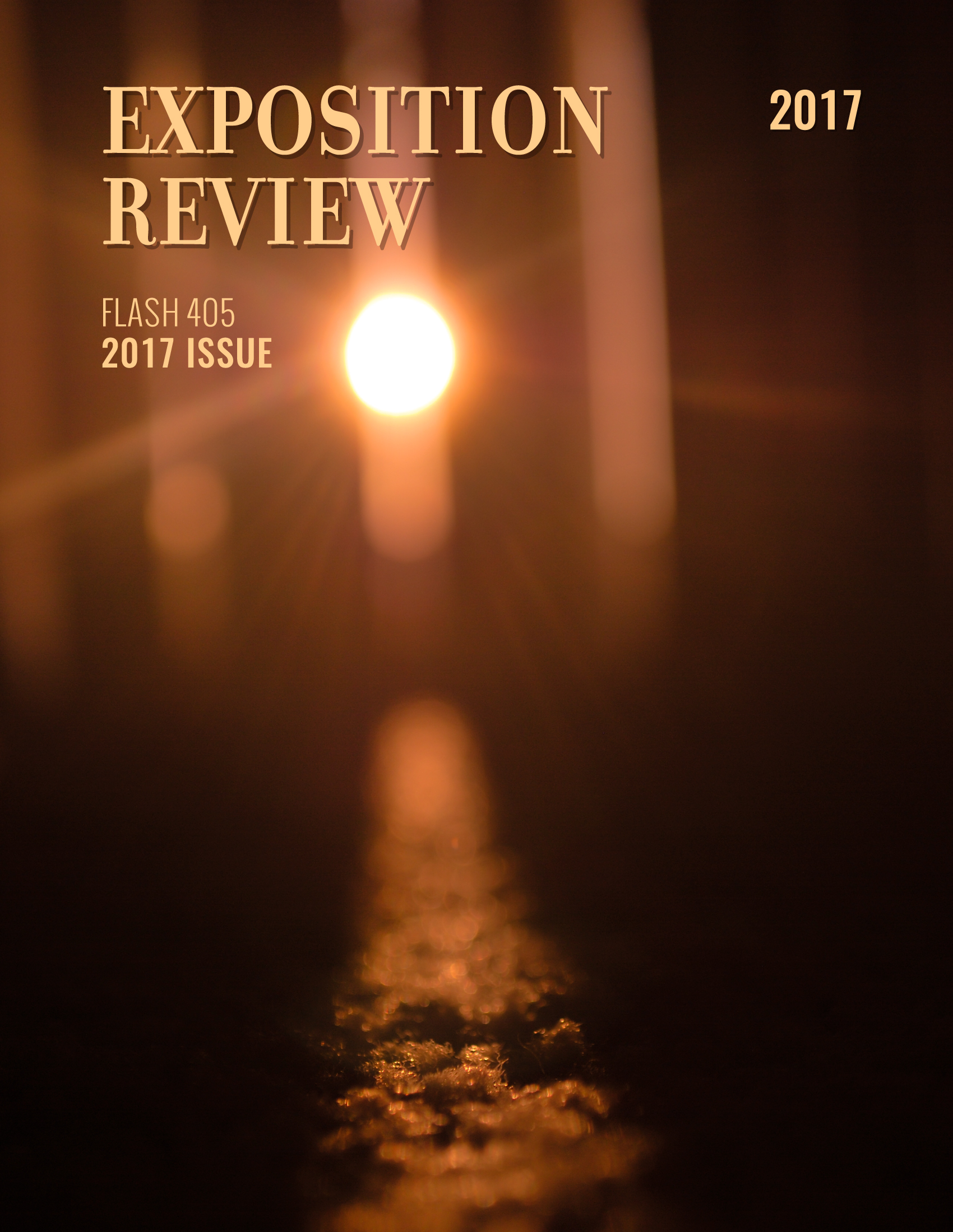 Exposition Review Flash 405 2017 Issue