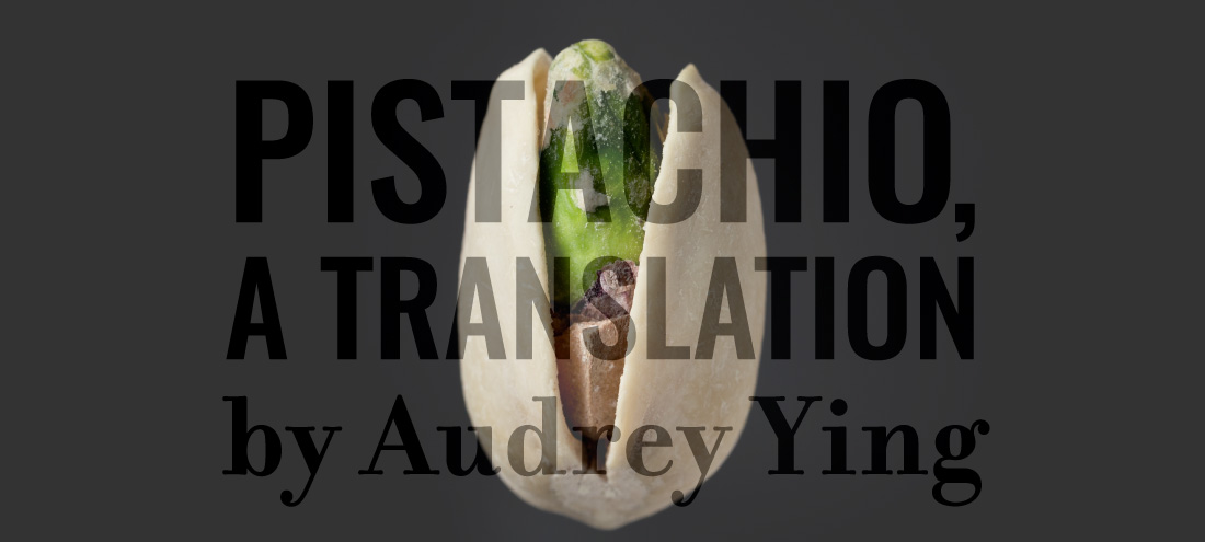 Flash 405, August 2020: Invented Language - pistachio, a translation by Audrey Ying