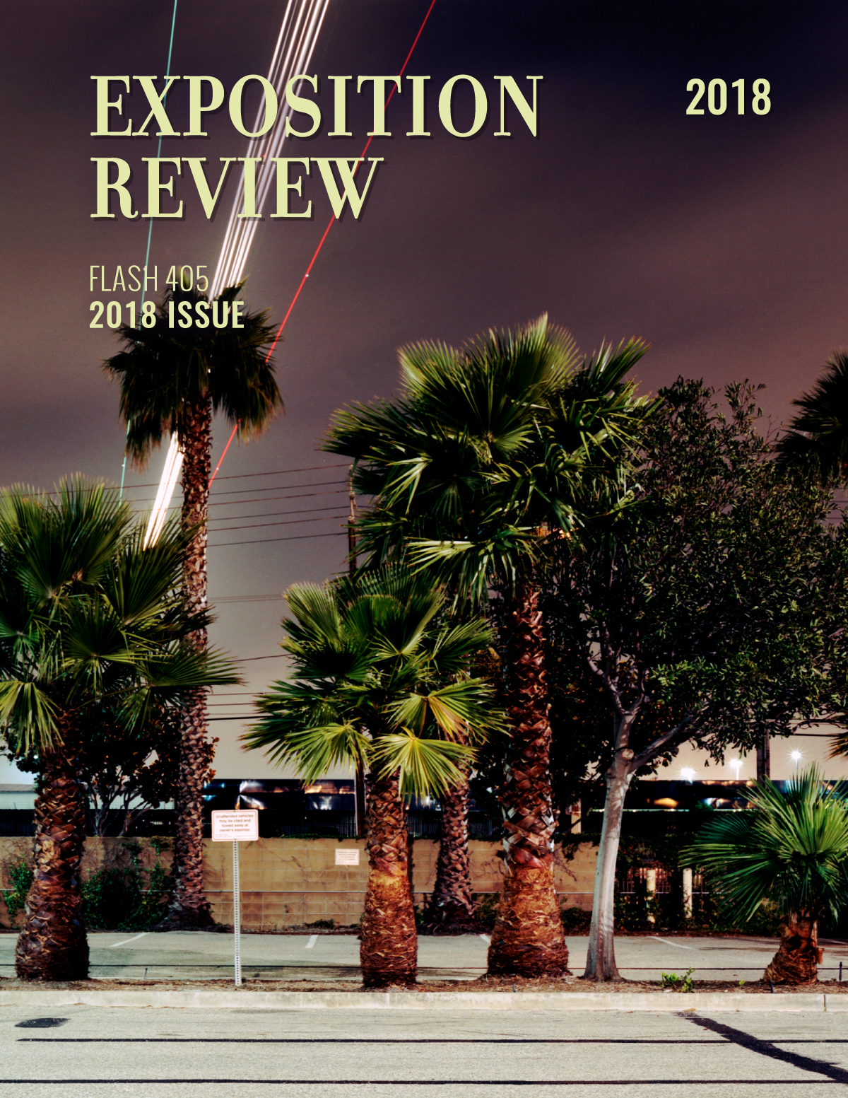 Exposition Review Flash 405 2018 Issue