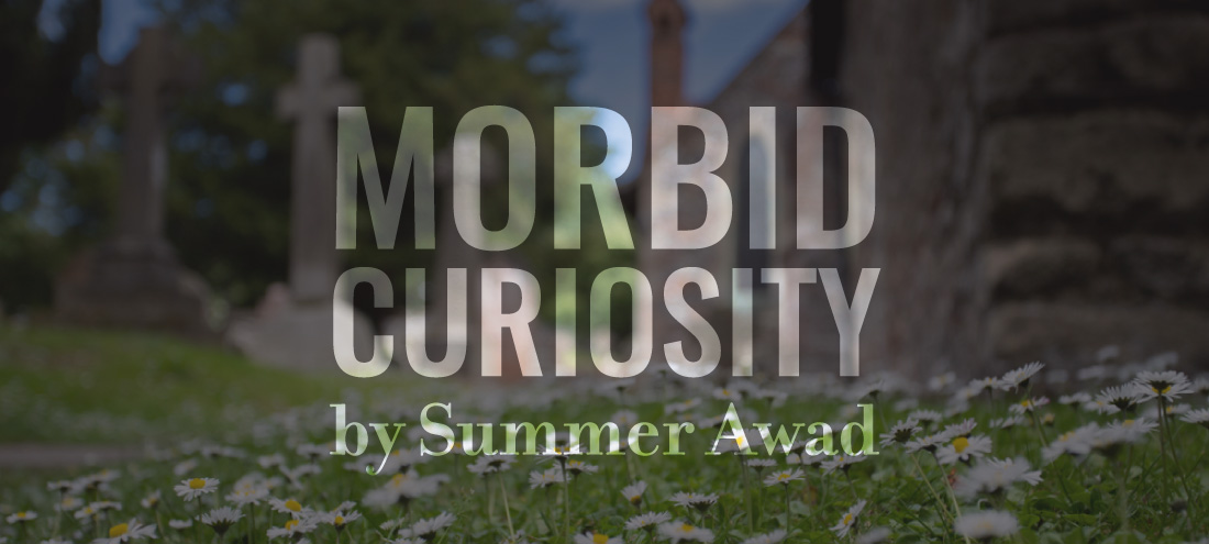 Flash 405, June 2019 "Legacy" 2nd Place - "Morbid Curiosity" by Summer Awad