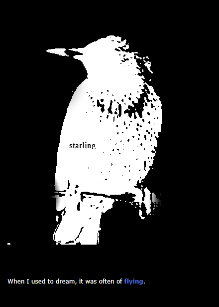 Starling by Kevin M. Flanagan - an Experimental/Hyperliterary work in Exposition Review, Vol. V "Act/Break"