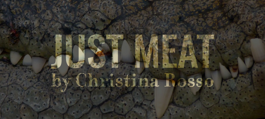 Flash 405, April 2020: Change In Perspective - Just Meat by Christina Rosso