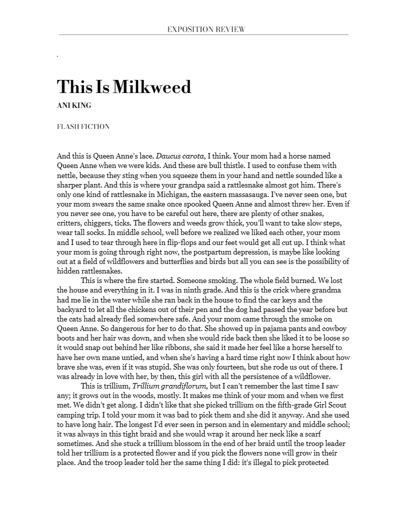 ExpoSpring-TheIsMilkweed